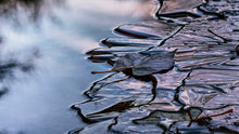 "Cottonwood Leaf and Early Morning Ice" By Johnnie Houston, Photograph on Fine Art Paper