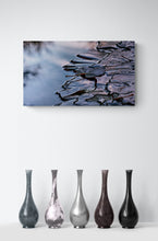 "Cottonwood Leaf and Early Morning Ice" By Johnnie Houston, Photograph on Fine Art Paper