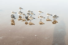 “Early Morning Conversation” By Katy Parks Wilson, Inkjet Print on Canvas