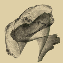 "Fortune Cookie" by Joao Machado, Digital Art on Canvas