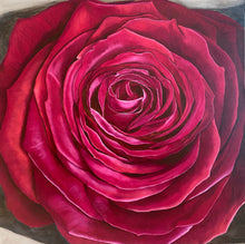 "The Velvet Rose" by Milana Waldron, Oil on Canvas