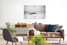 "Whitetip" by Ben Steele, Photograph on Fine Art Paper
