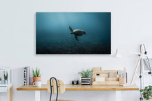 "Crush" by Ben Steele, Photograph on Fine Art Paper