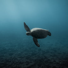 "Crush" by Ben Steele, Photograph on Fine Art Paper