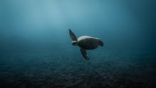 "Crush" by Ben Steele, Photograph on Fine Art Paper