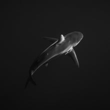 "In the Deep" by Ben Steele, Photograph on Fine Art Paper
