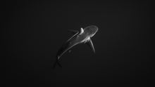 "In the Deep" by Ben Steele, Photograph on Fine Art Paper