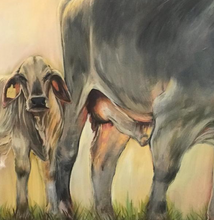 “Brahman Mom and Calf” By Leigh Stokes, Acrylic on Canvas