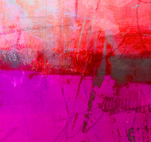 “In The Pink” By Carol Levin, Printed on Metallic Paper & Acrylic