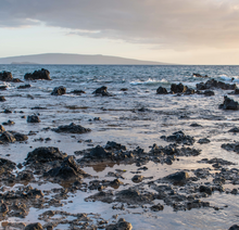 "Rocky Beach" By Anne Warfield, On Giclee Smooth Fine Art Paper