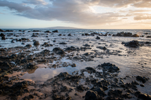 "Rocky Beach" By Anne Warfield, On Giclee Smooth Fine Art Paper