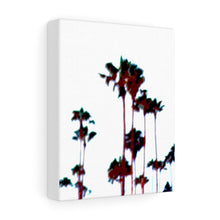 Palm Tree Stretched Canvas