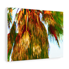 Palm Trees Beach Stretched Canvas