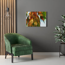 Palm Trees Beach Stretched Canvas