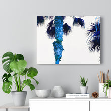 Palm Trees TV Blue Stretched Canvas