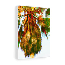 Palm Trees Beach Stretched Canvas