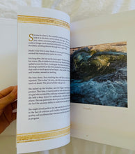 "COMPELLING" by Andreea Berindei, Book