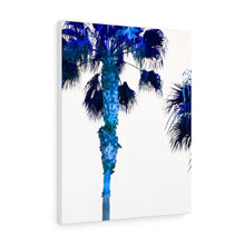 Palm Trees TV Blue Stretched Canvas