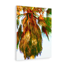 Palm Trees Beach Stretched Canvas