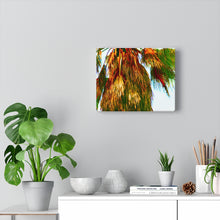 Palm Trees Beach Stretched Canvas