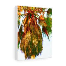 Palm Trees Beach Stretched Canvas