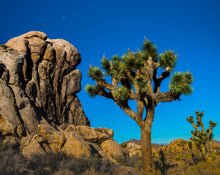 "Ode to Ansel" by Bert Mattingly, Photograph, Fuji Pearl Print