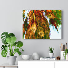 Palm Trees Beach Stretched Canvas