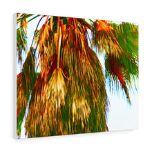 Palm Trees Beach Stretched Canvas