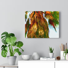 Palm Trees Beach Stretched Canvas