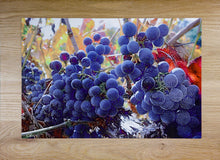 “Cabernet Harvest”  By Chris Purdy, Photograph