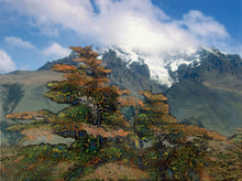 “Patagonia” By Chris Purdy,  Photograph Embedded in Glass.