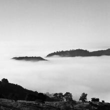 ""Foggy Morning Napa Valley”" By Chris Purdy,  Photograph on un-stretched Canvas