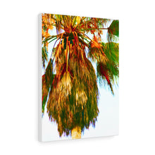 Palm Trees Beach Stretched Canvas