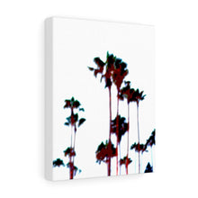 Palm Tree Stretched Canvas