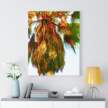 Palm Trees Beach Stretched Canvas
