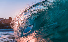 "Through the Glass" by Donnie Kane, Photograph on Acrylic Glass