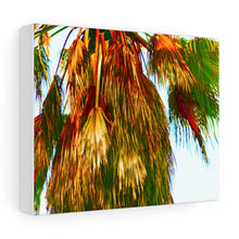 Palm Trees Beach Stretched Canvas