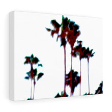 Palm Tree Stretched Canvas