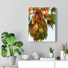 Palm Trees Beach Stretched Canvas