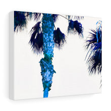 Palm Trees TV Blue Stretched Canvas