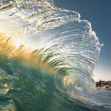 "Sea Through" by Jared Weintraub, Photograph on Aluminum