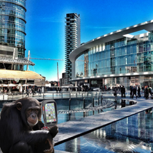 "THE PLANET OF THE APES" by Giulio Cesare Giacobbe, Photograph on Canvas