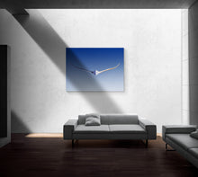 "Glide" by Paul Michael Glaser, Digital Painting on Archival MOAB