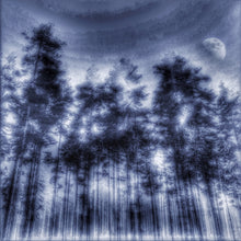 “Tree and Moon” By Arne Larsen, Digital Photography