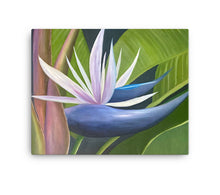 "Nature Inspired" by Marcela DeCuir, Oil on Gallery Wrapped Canvas