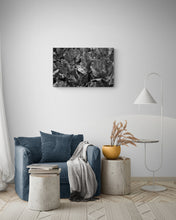 "Aninga Amazônica" by Karol Khaled, Photography on Fine Art Paper