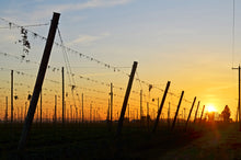 "Sundown" by Kevin Schumacher, Photograph on Fine Art Paper