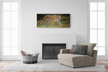 "Prince Of Siberia" by Krystii Melaine, Oil Belgian Linen on Panel