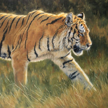 "Prince Of Siberia" by Krystii Melaine, Oil Belgian Linen on Panel