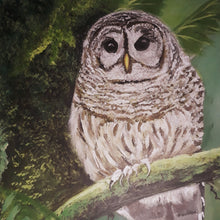 “Barred Owl” By Kristi Argyle, Acrylic on Canvas
